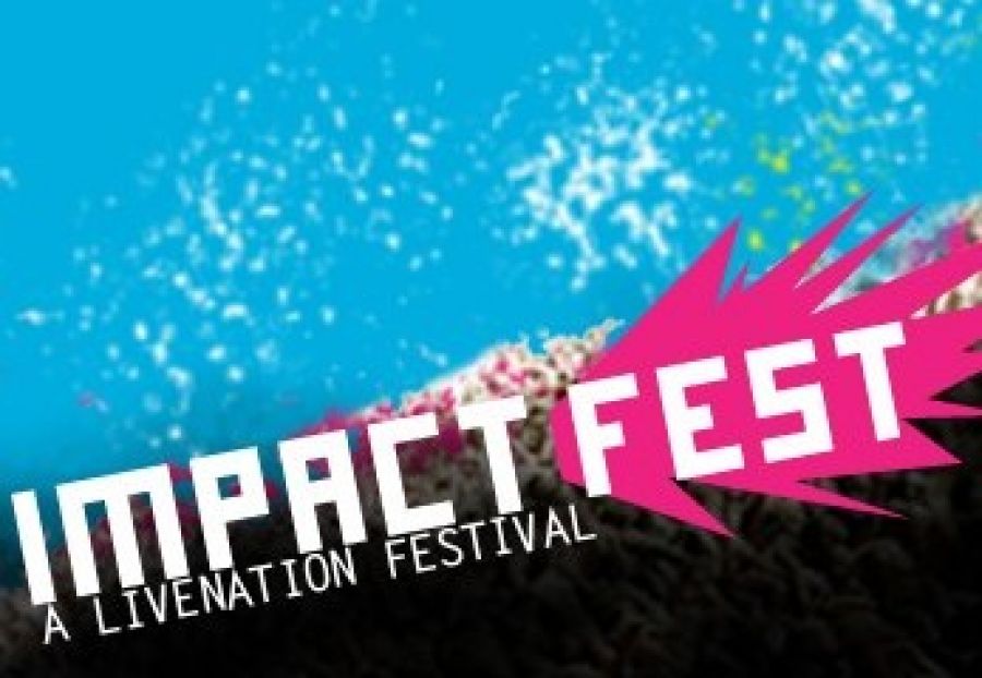 IRKA Instytut Rozwoju Kultury Alternatywnej Kultura